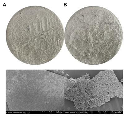 Characterization of manganized soluble dietary fiber complexes from tigernut meal and study of the suppressive activity of <mark class="highlighted">digestive enzymes</mark> in vitro